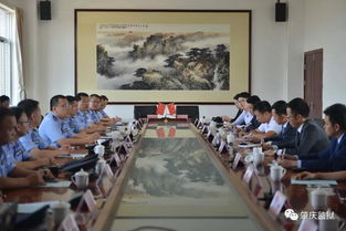 工作動(dòng)態(tài) | 聚焦法律事務(wù)代理 流程優(yōu)化與專業(yè)提升